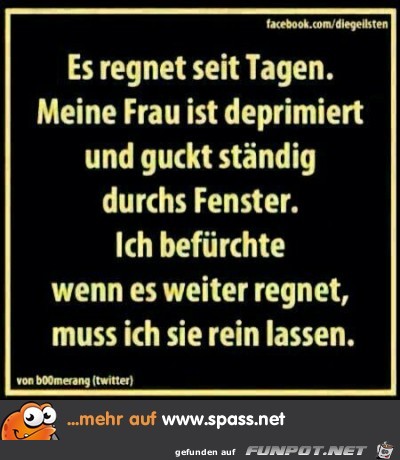 regen..... regen.....