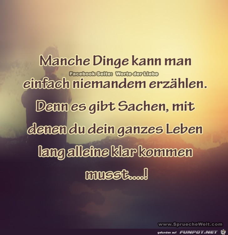 manche Dinge kann man......