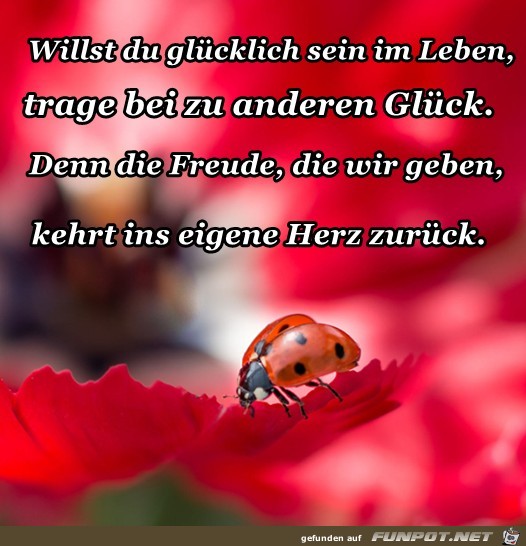 Willst du gluecklich sein Willst du gluecklich sein