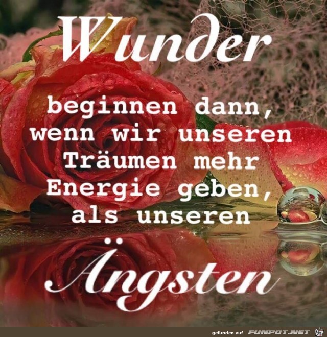 Wunder Wunder