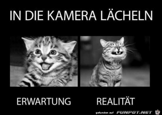 Laecheln...