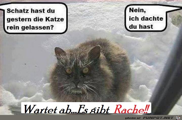 Wartet ab Wartet ab