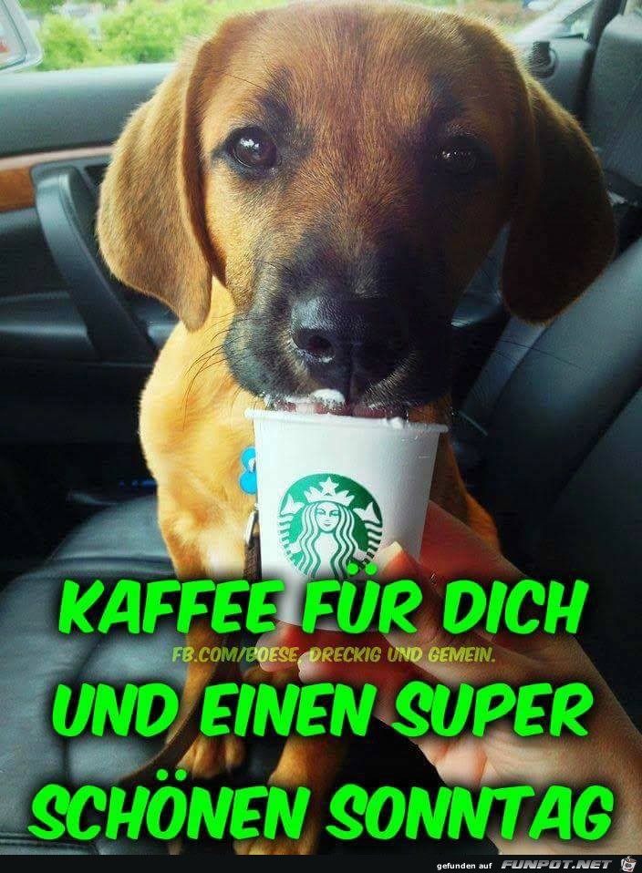 Kaffee fuer dich