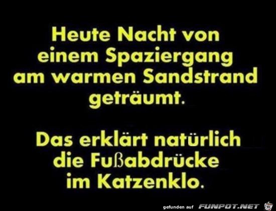 heut Nacht getraeumt.... heut Nacht getraeumt....