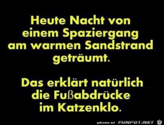 heut Nacht getraeumt....