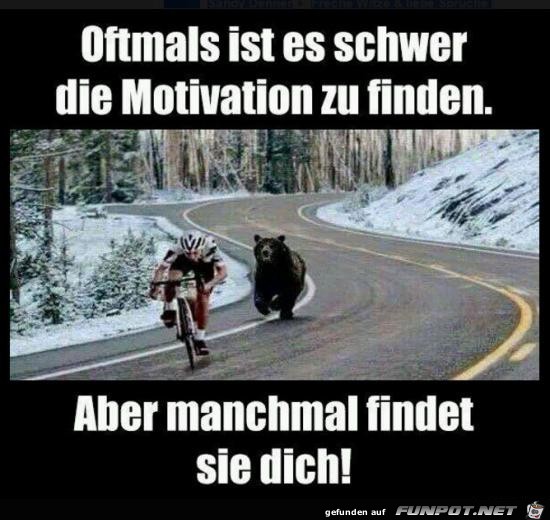 Motivation.... Motivation....