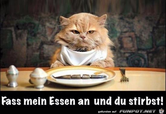 Fass mein Essen an... Fass mein Essen an...