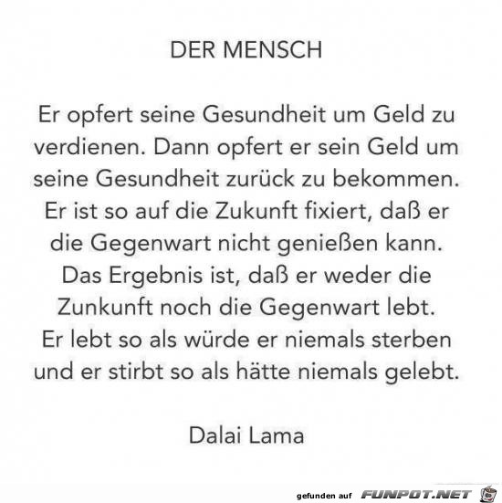 der Mensch.....