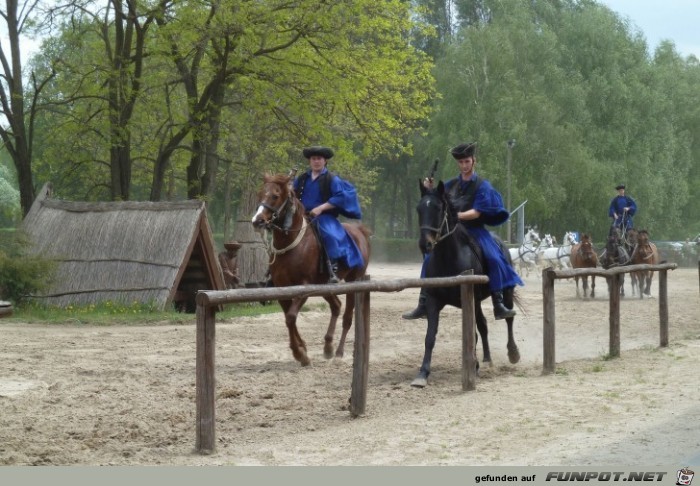 Pferdeshow in der Puszta, Teil 2