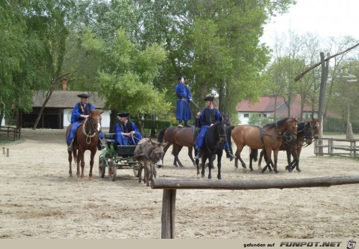 Pferdeshow in der Puszta, Teil 2