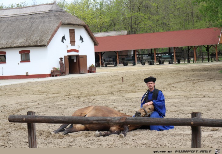 Pferdeshow in der Puszta, Teil 2