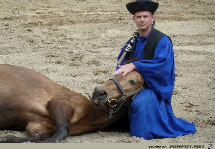 Pferdeshow in der Puszta, Teil 2