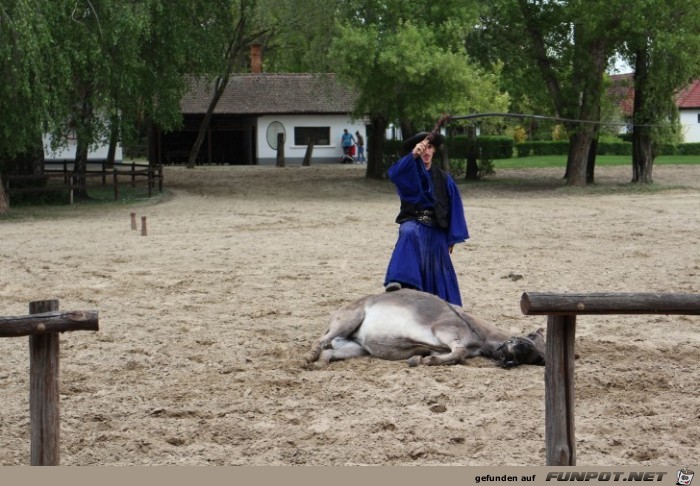 Pferdeshow in der Puszta, Teil 2