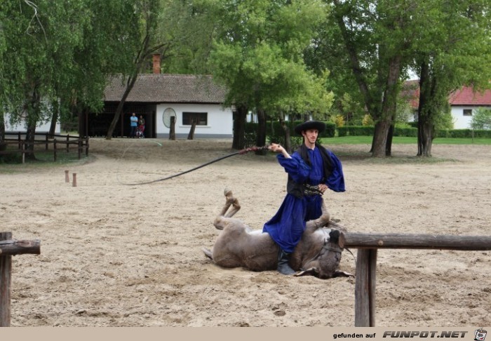 Pferdeshow in der Puszta, Teil 2