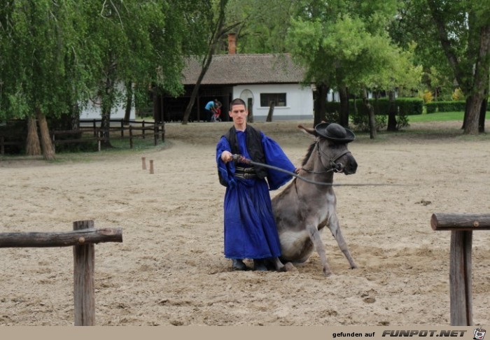 Pferdeshow in der Puszta, Teil 2