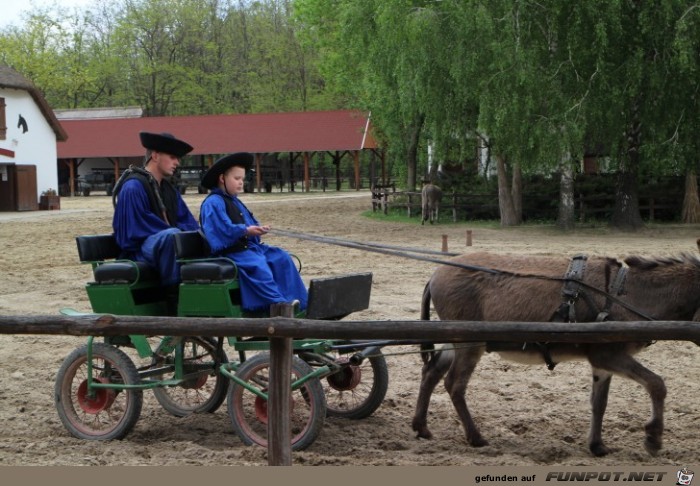 Pferdeshow in der Puszta, Teil 2