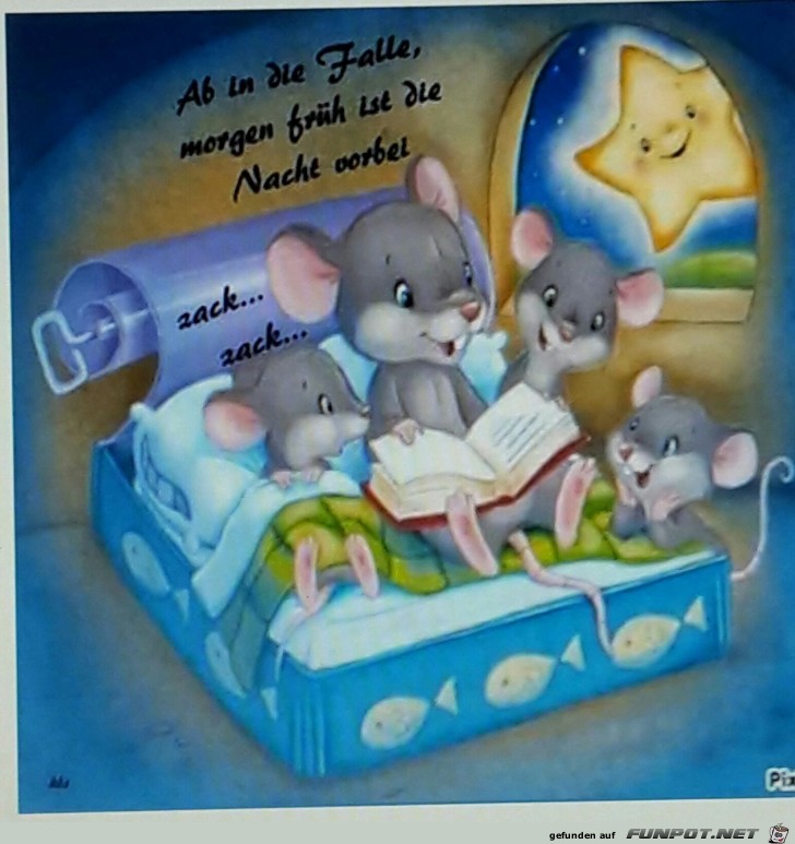 Ab in die Falle Ab in die Falle