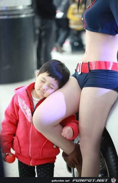 lustige Bilder 4 lustige Bilder 4