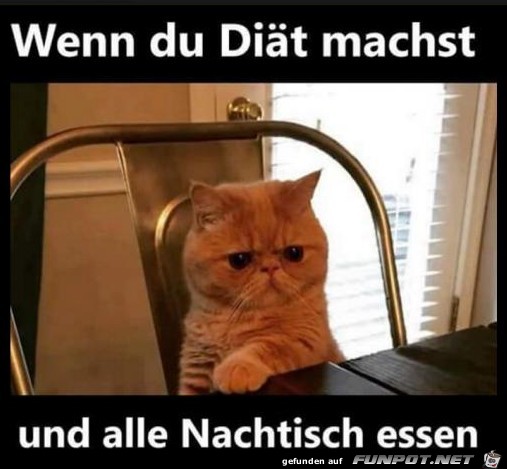 Diät Diät
