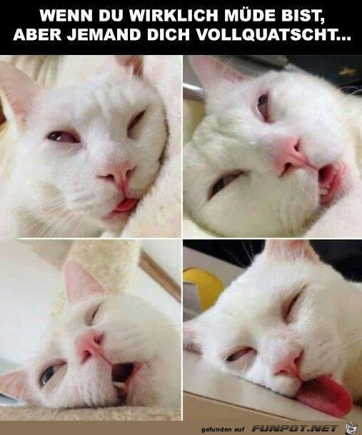 Müde Müde