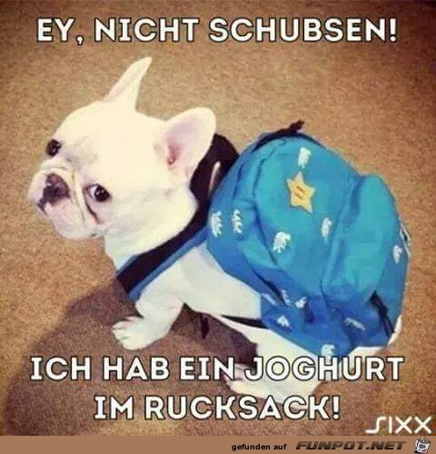 Ey nicht schupsen