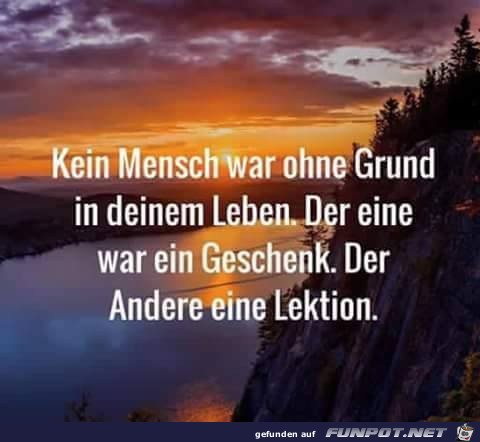 Ohne Grund