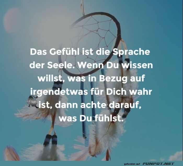 10 sch�ne Spr�che und Lebensweisheiten aus...