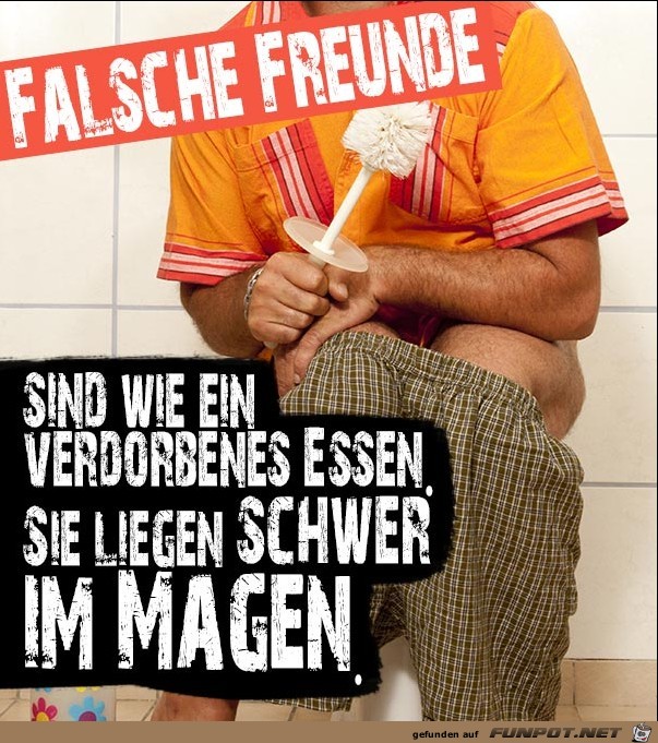 falsche-freunde