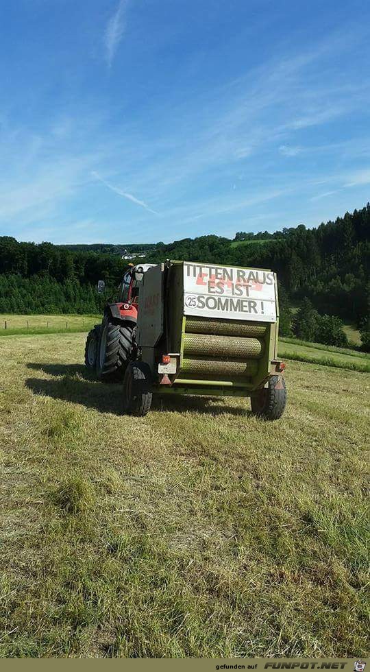 Sommer... Sommer...