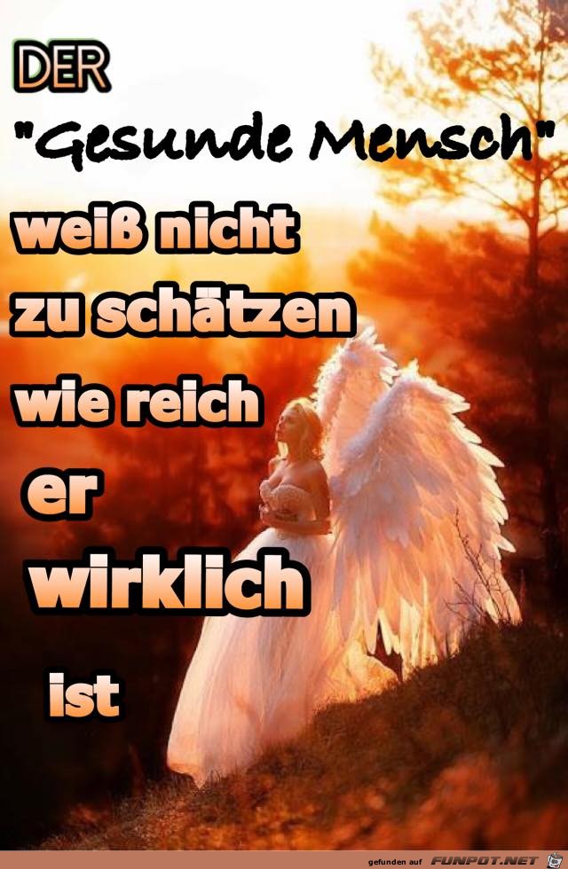 Der gesunde Mensch Der gesunde Mensch