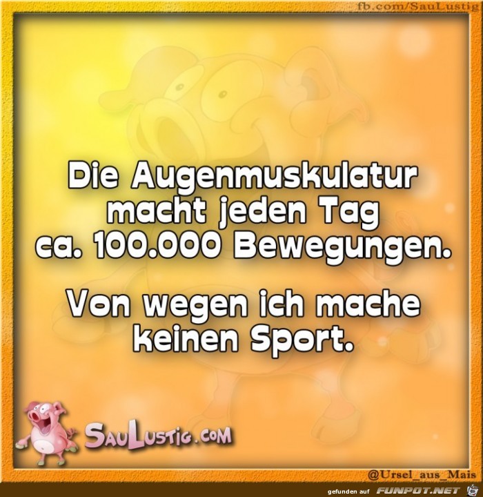 Die-Augenmuskulatur Die-Augenmuskulatur