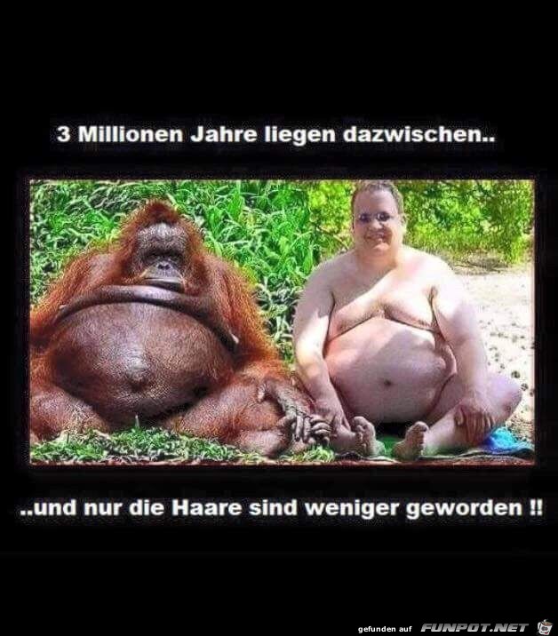 3 Millionen Jahre liegen dazwischen