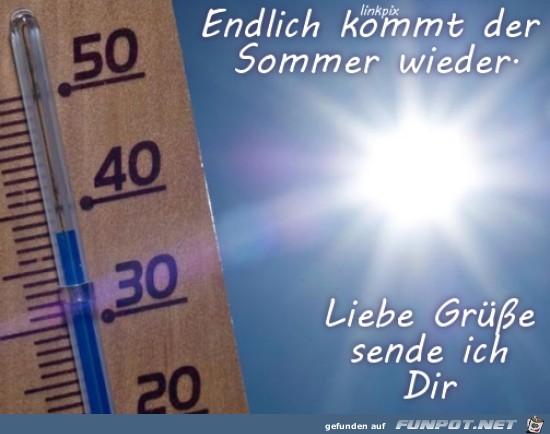 kommt der Sommer.....