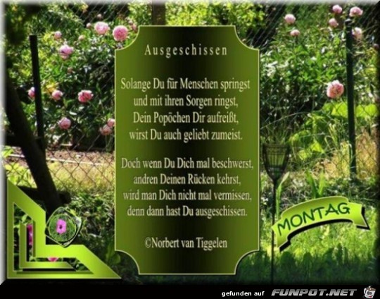 ausgeschissen ...... ausgeschissen ......