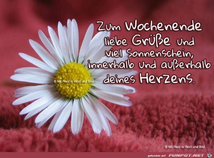 Zum Wochenende Zum Wochenende