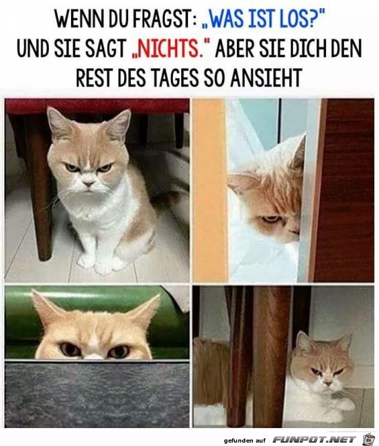 was iist los.....