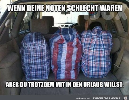 Suchbild Suchbild