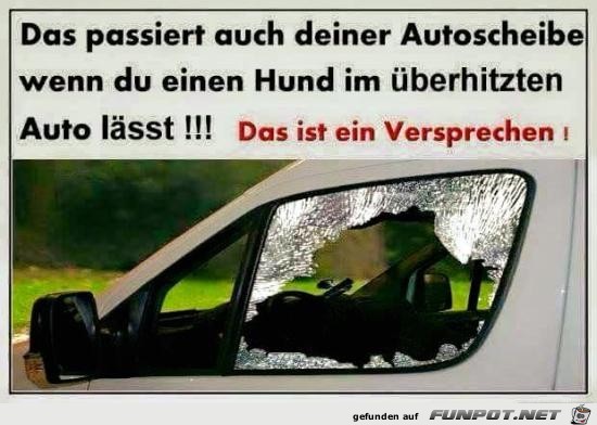 das passiert......