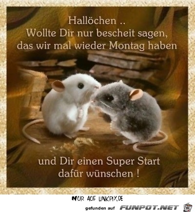 Halloechen.....