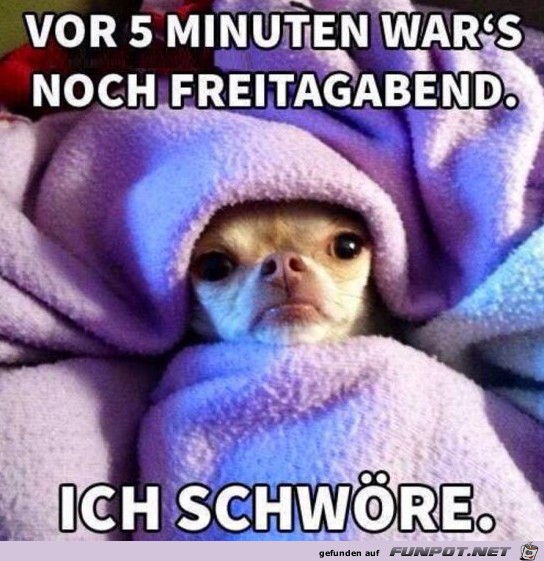 Ich schwöre Ich schwöre