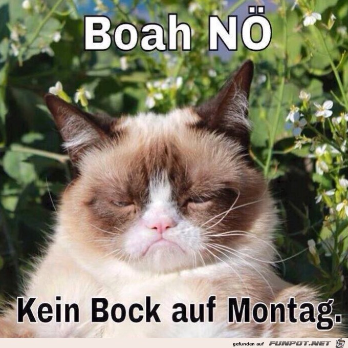 Montag Montag