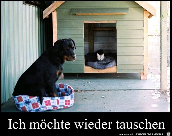 Tauschen Tauschen