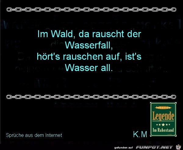 im Wald im Wald