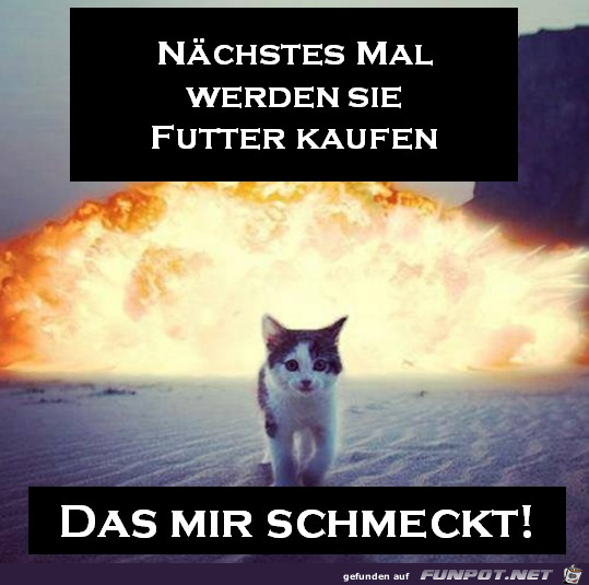 Nächstes Mal werden sie... Nächstes Mal werden sie...