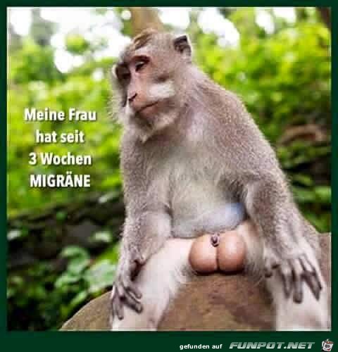Frau hat Migräne Frau hat Migräne