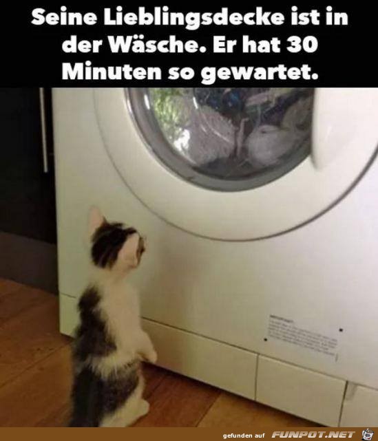 Lieblingsdecke Lieblingsdecke