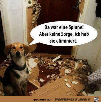 Keine Sorge