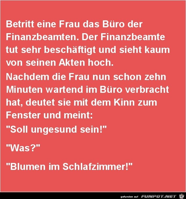 der Finanzbeamte.....