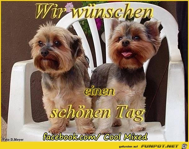 Wir wuenschen Wir wuenschen