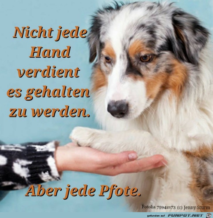 Nicht jede Hand verdient es...